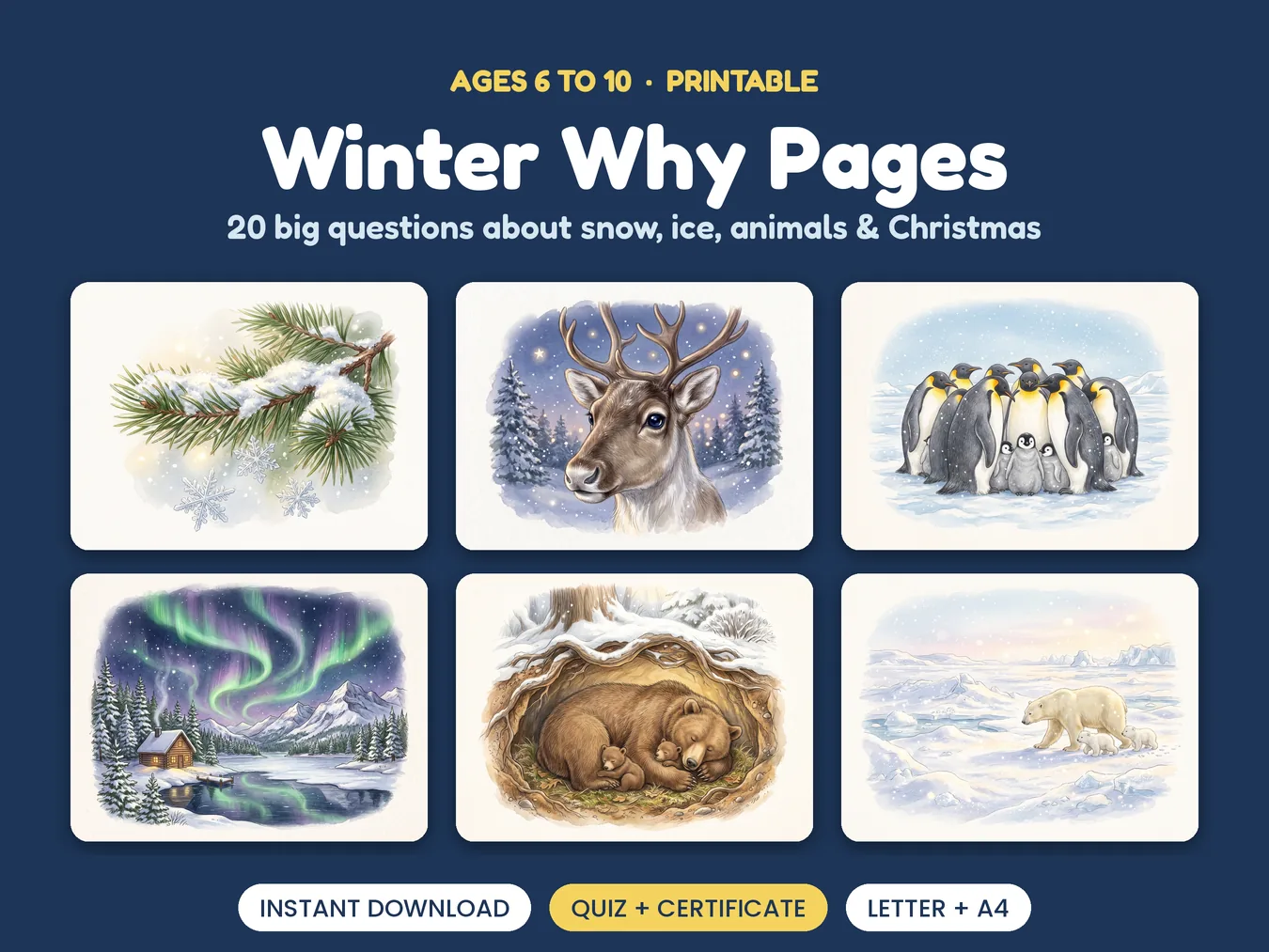 Winter Why Pages for Kids: six of the illustrated pages