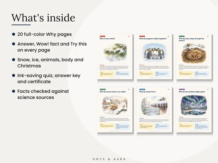 Pages inside Winter Why Pages: snow, penguins, bears, salt on roads, icicles and northern lights